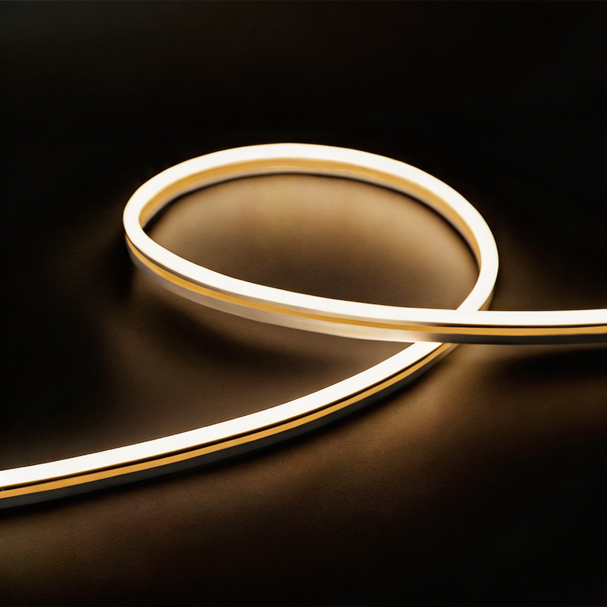               Silicone Neon Flex - W06xH12mm