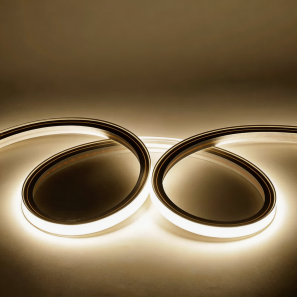         Silicone Neon Flex - W20xH18mm